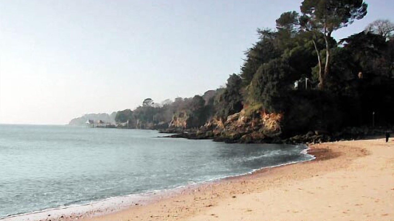 Photo of Others in Saint-Marc-sur-Mer