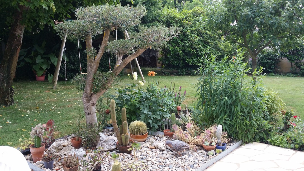Photo of Outdoor in Gujan-Mestras