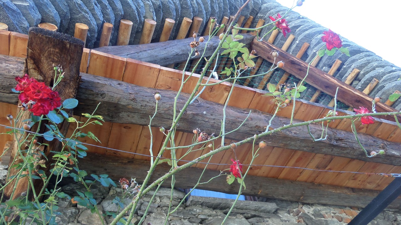Photo of Outdoor in Terre di Pedemonte