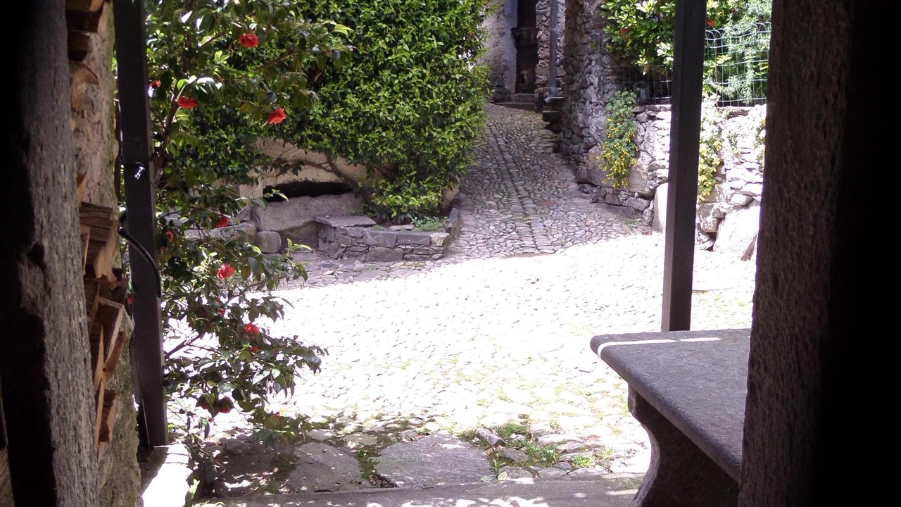 Photo of Others in Terre di Pedemonte
