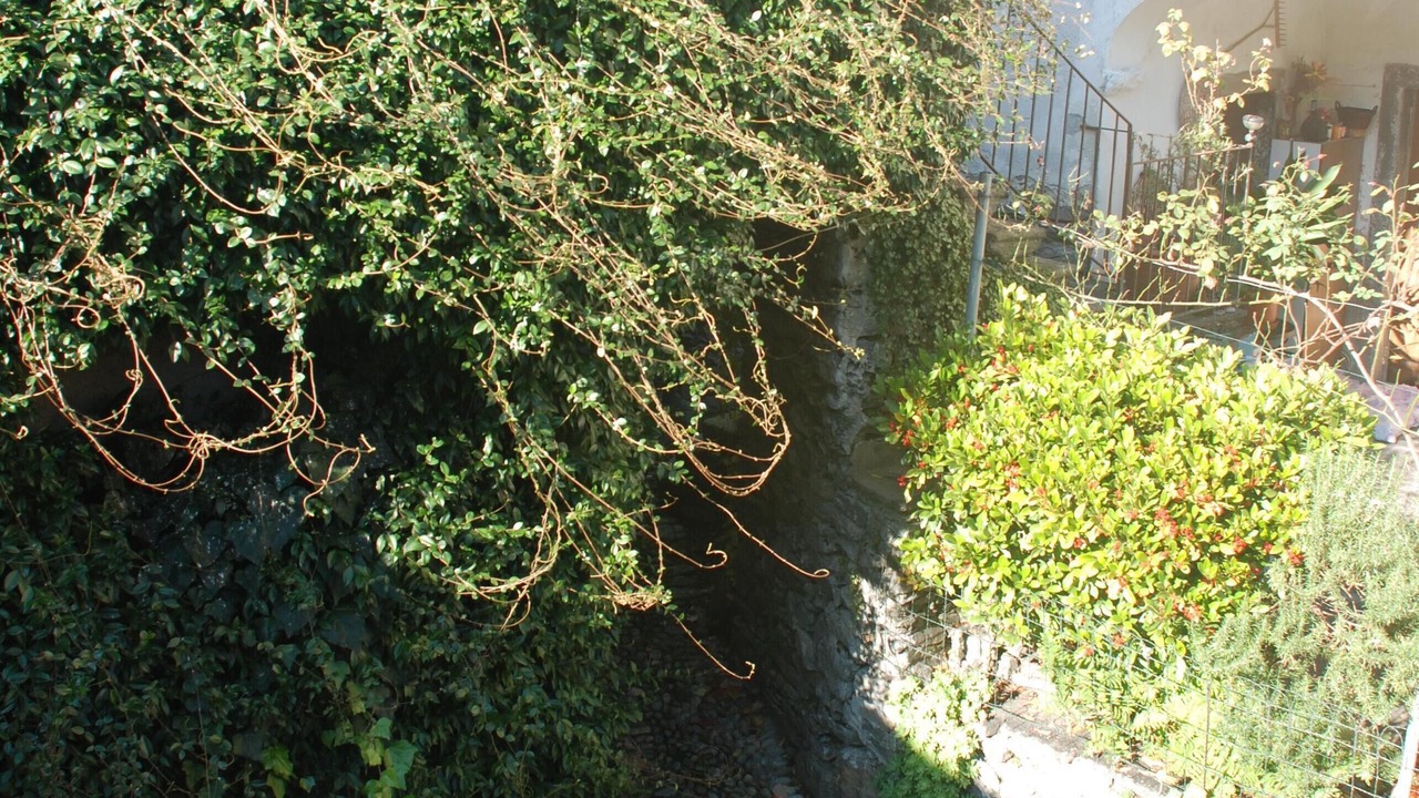 Photo of Outdoor in Terre di Pedemonte