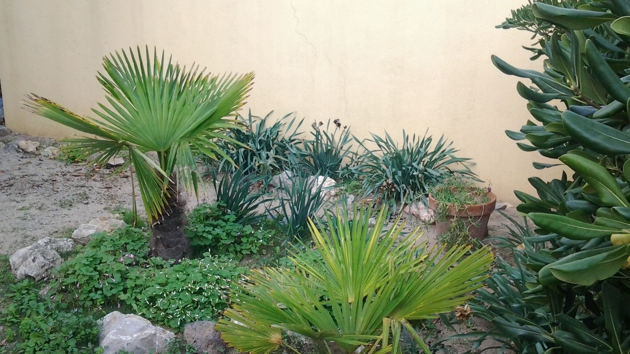 Photo of Outdoor in Valras-Plage