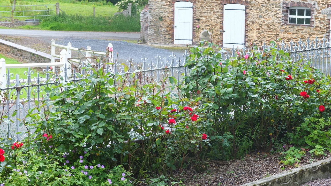 Photo of Outdoor in Planquery