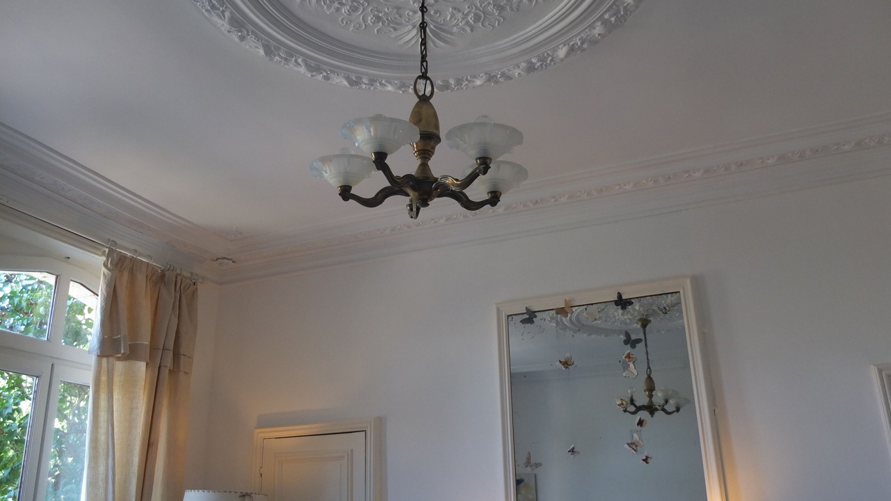 Photo of Others in Planquery