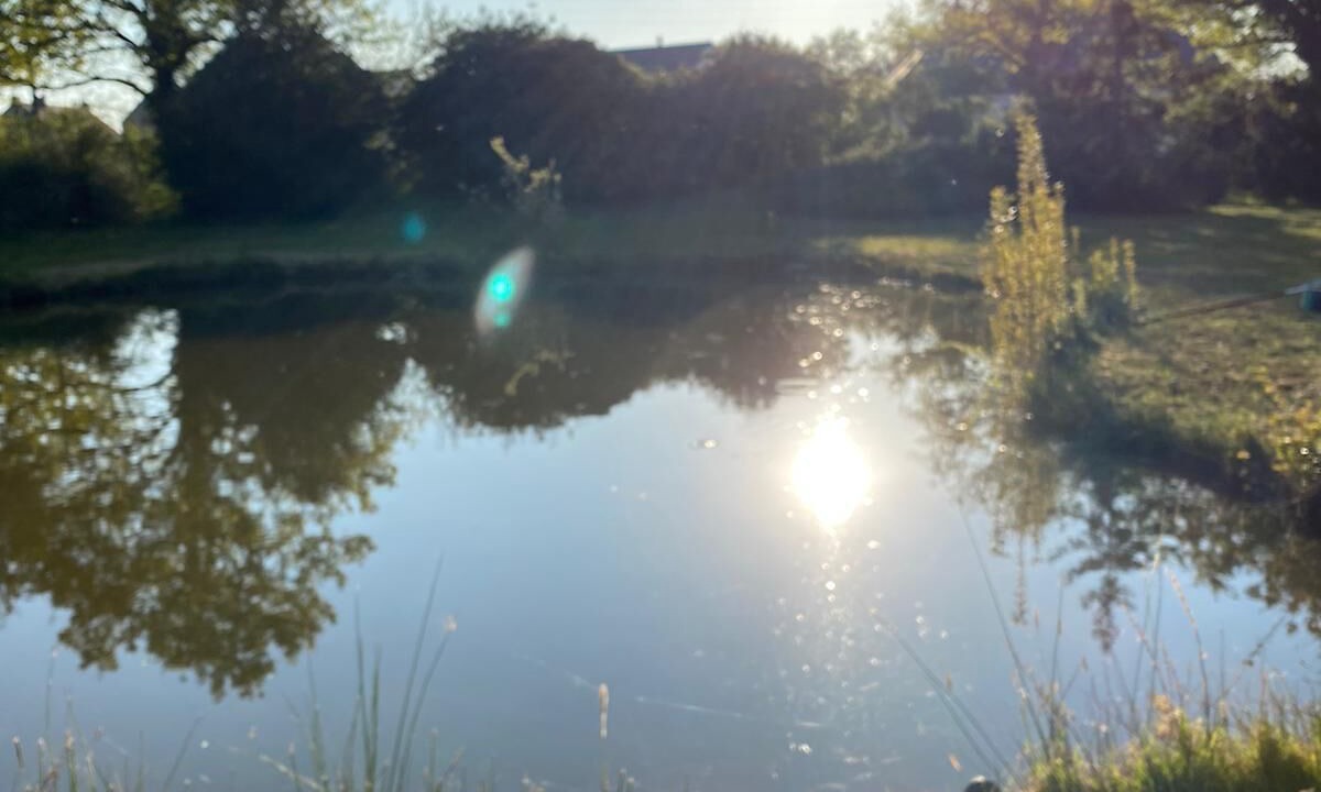 Photo of Others in Saint-Andre-des-Eaux