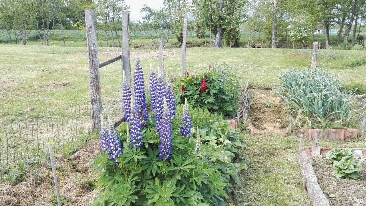 Photo of Outdoor in Bezues-Bajon