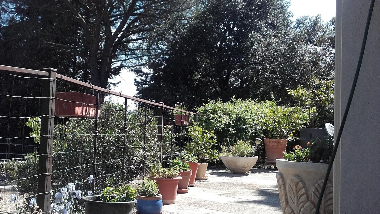 Photo of Outdoor in Junas