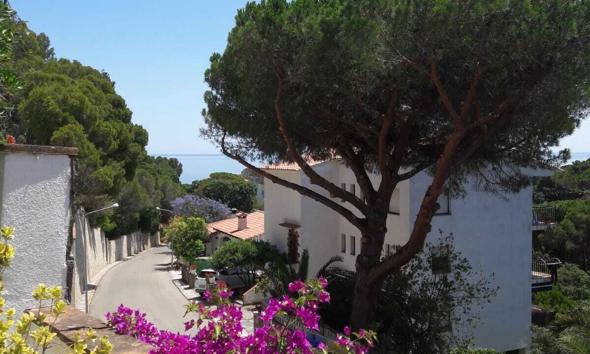 Photo of Outdoor in Canyet de Mar