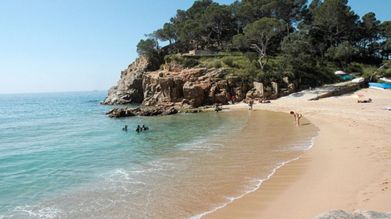 Photo of Others in Canyet de Mar