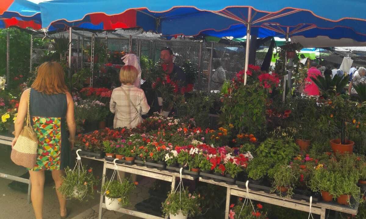 Photo of Outdoor in Canyet de Mar