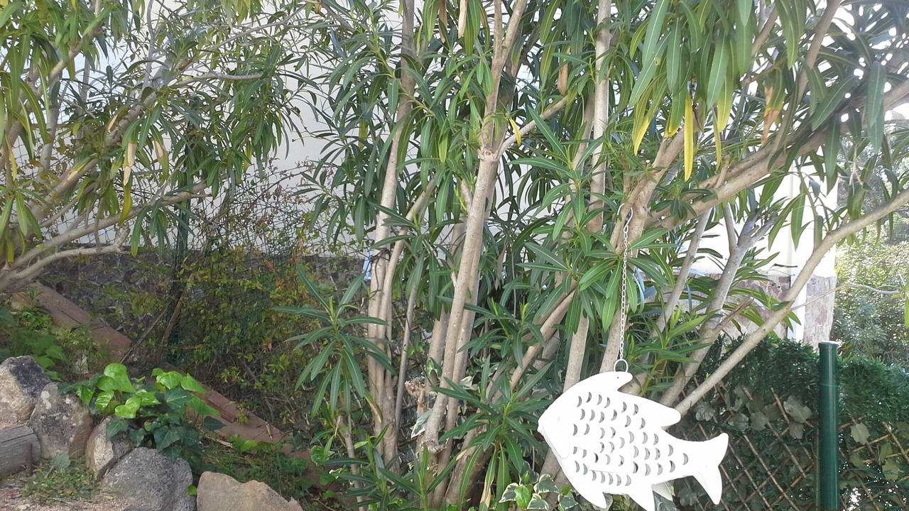 Photo of Outdoor in Canyet de Mar