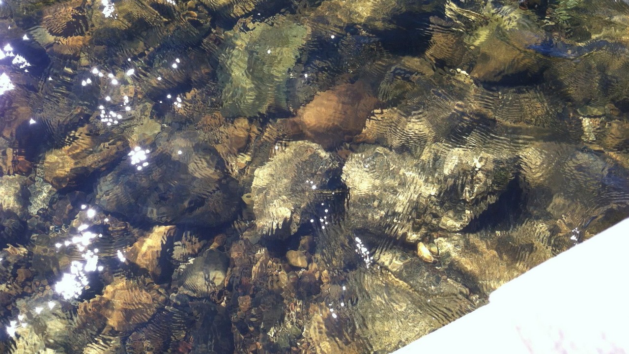 Photo of Outdoor in Forest CIty