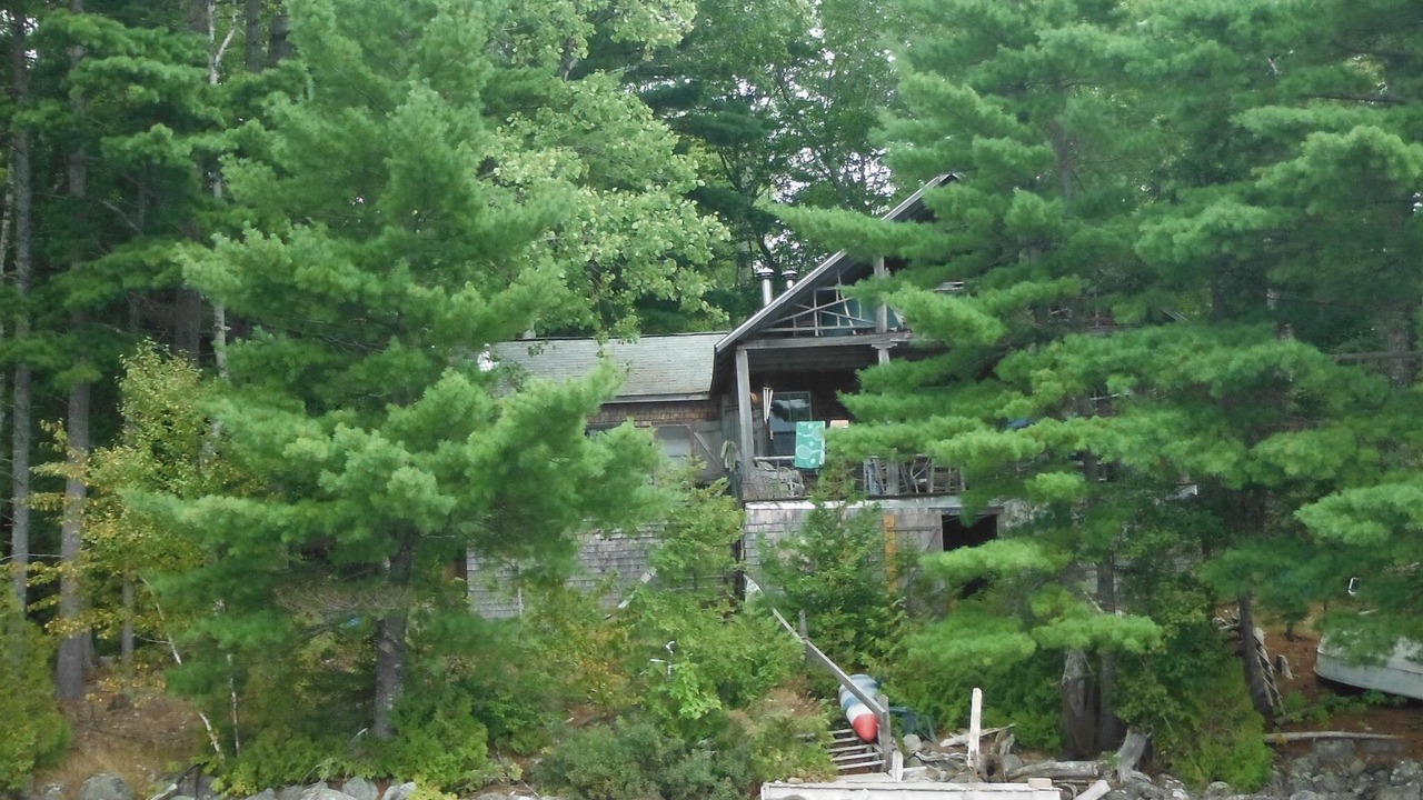Photo of Outdoor in Forest CIty