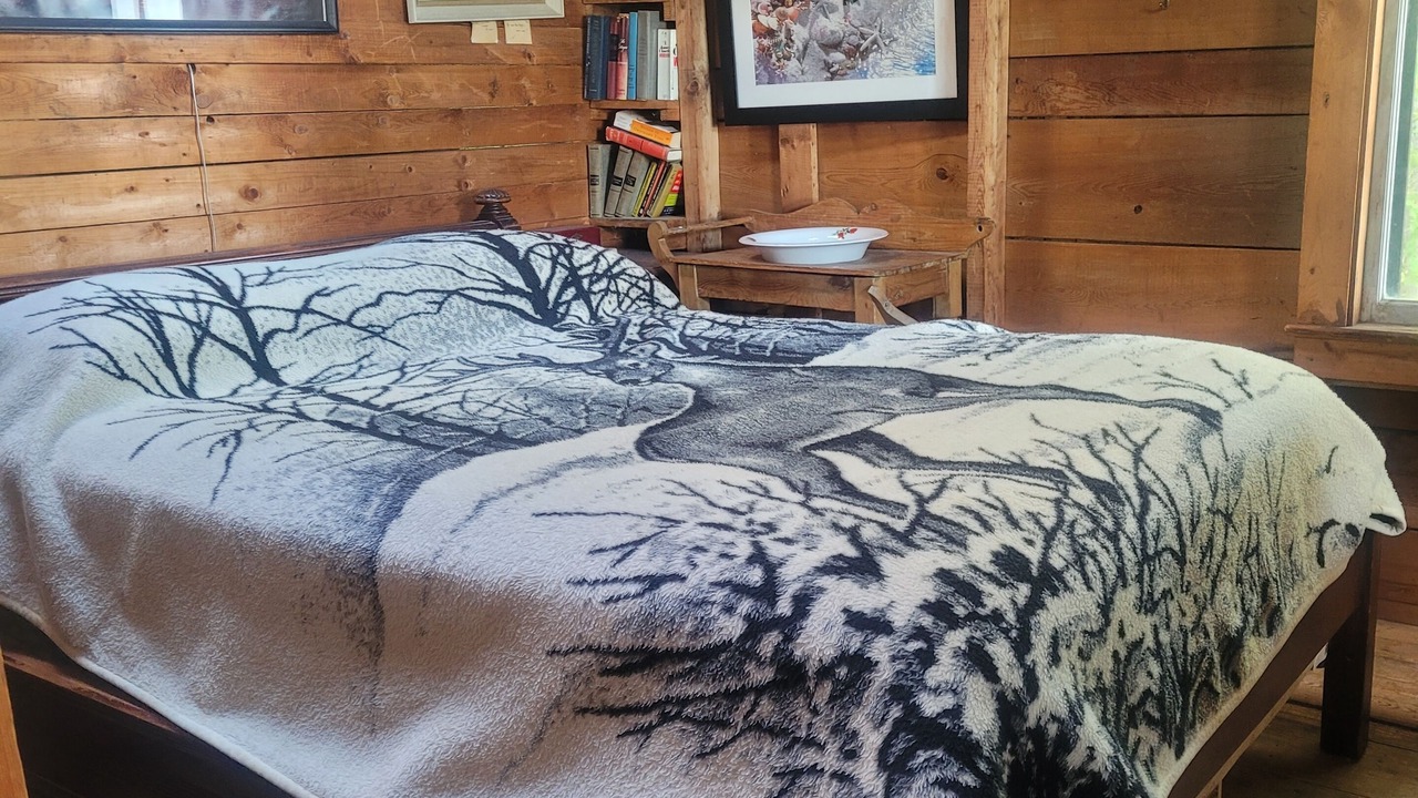 Photo of Bedroom in Forest CIty