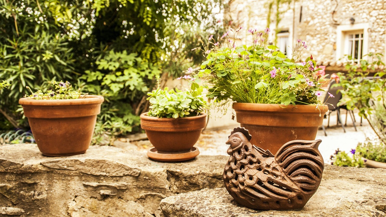 Photo of Outdoor in Saint-Andre-de-Roquepertuis