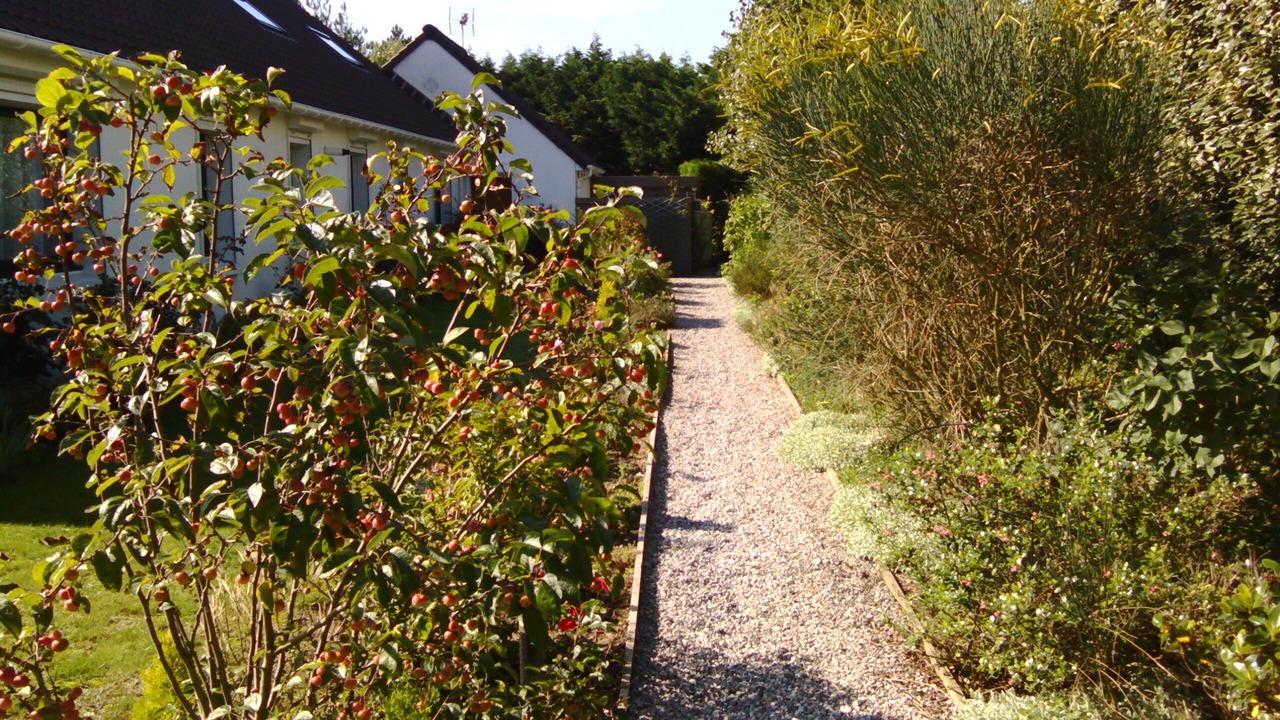 Photo of Outdoor in Hardelot-Plage
