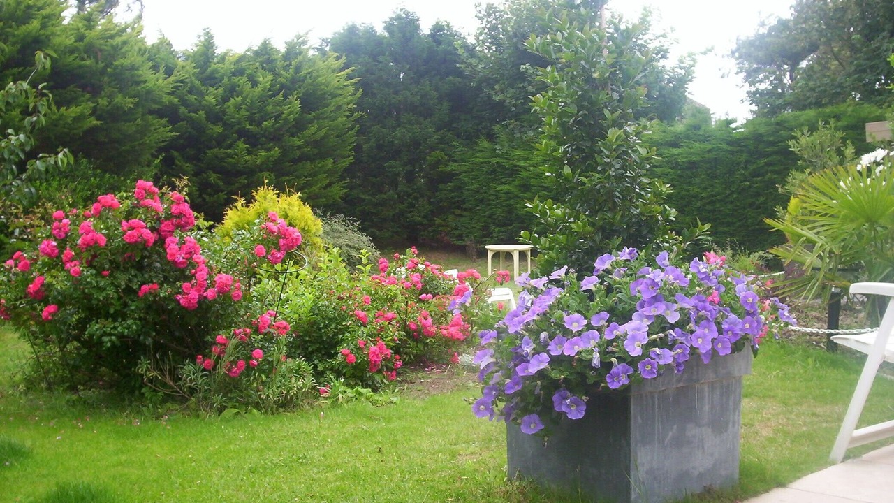 Photo of Outdoor in Hardelot-Plage