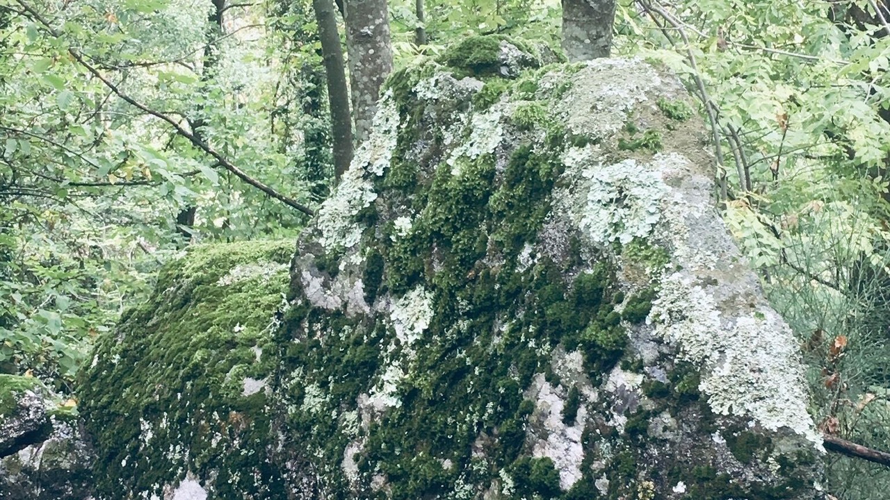Photo of Outdoor in Malarce-sur-la-Thines