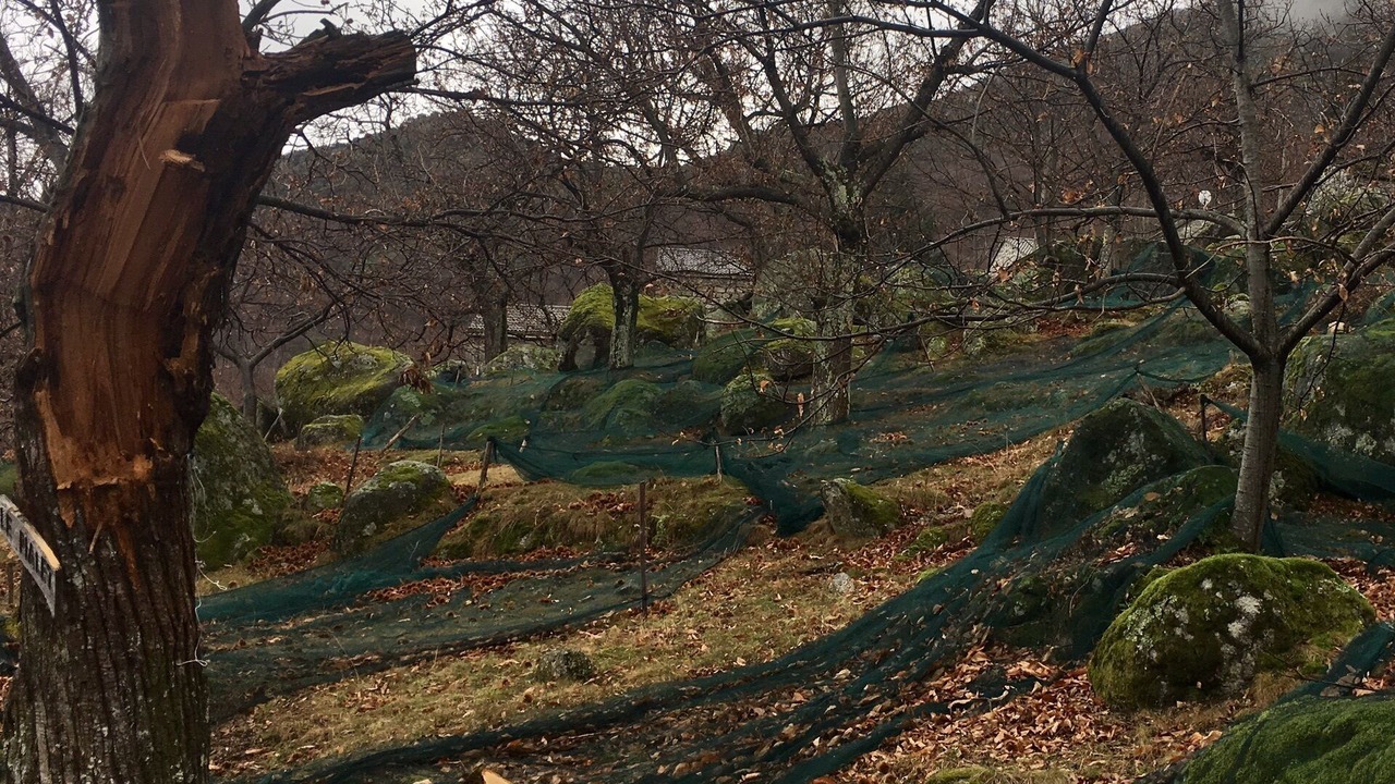 Photo of Outdoor in Malarce-sur-la-Thines