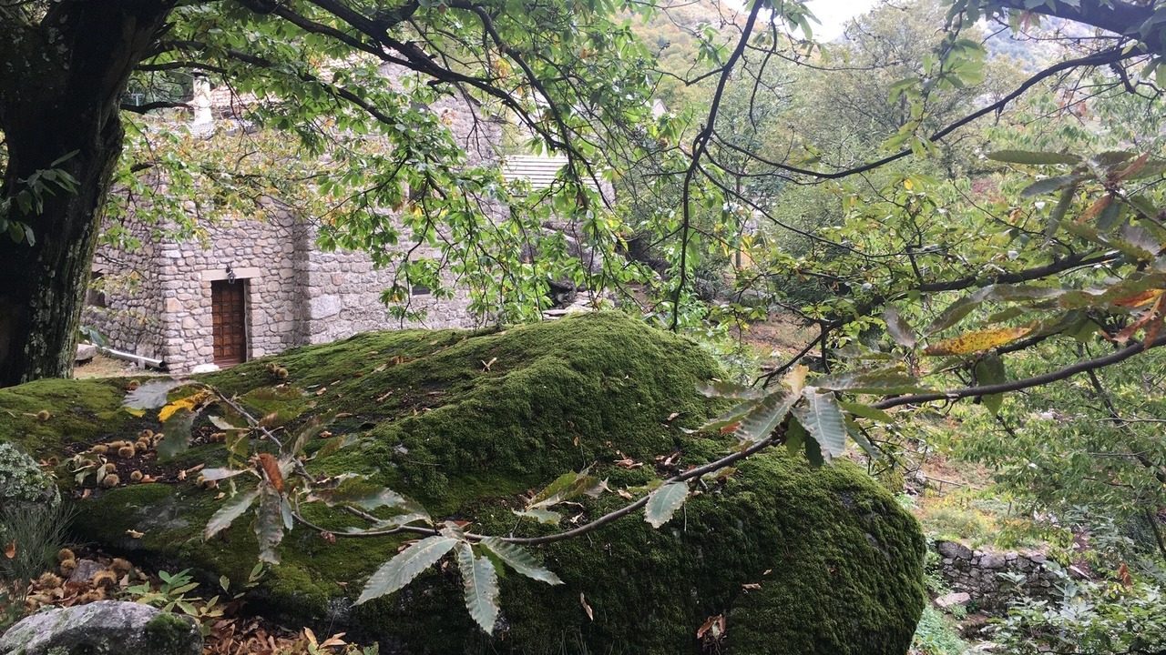 Photo of Outdoor in Malarce-sur-la-Thines