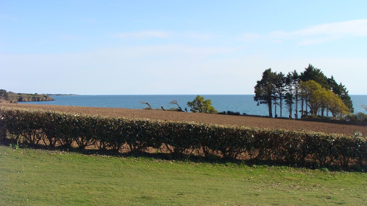 Photo of Others in La Foret-Fouesnant