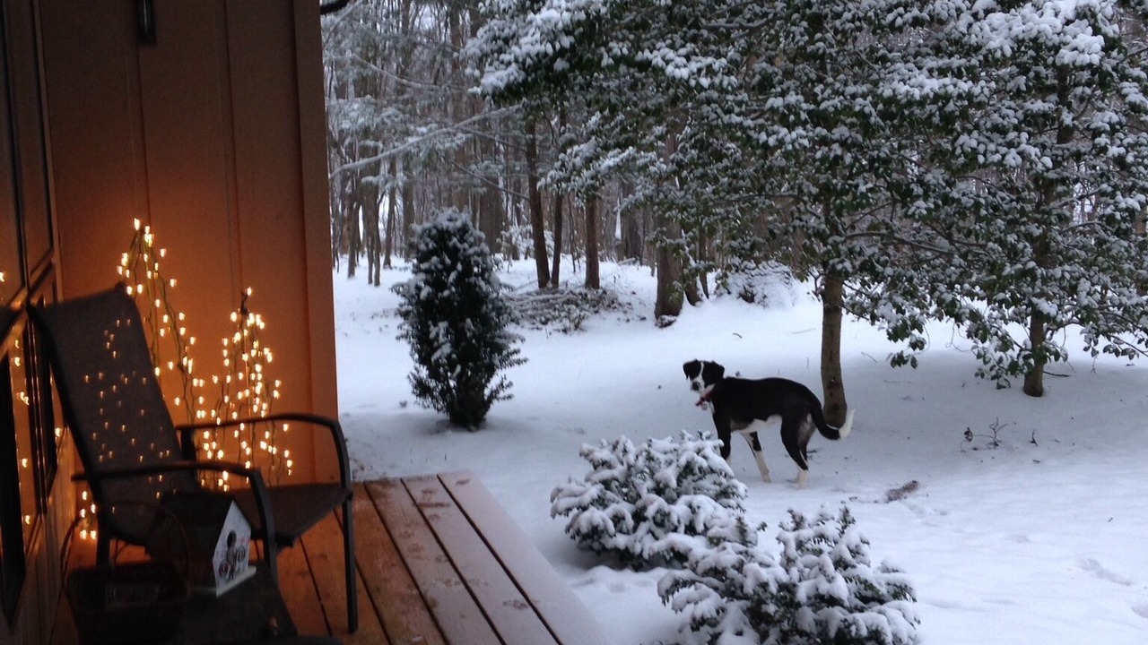 Photo of Livingroom in Nellysford