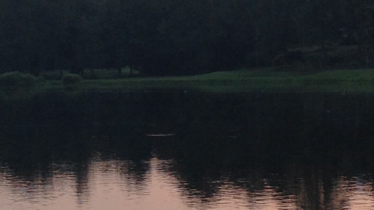 Photo of Outdoor in Nellysford