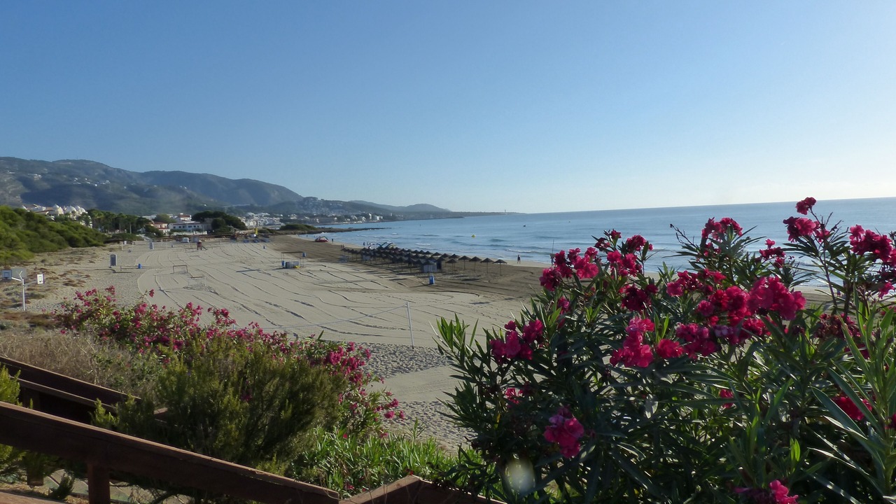 Photo of Others in Alcossebre