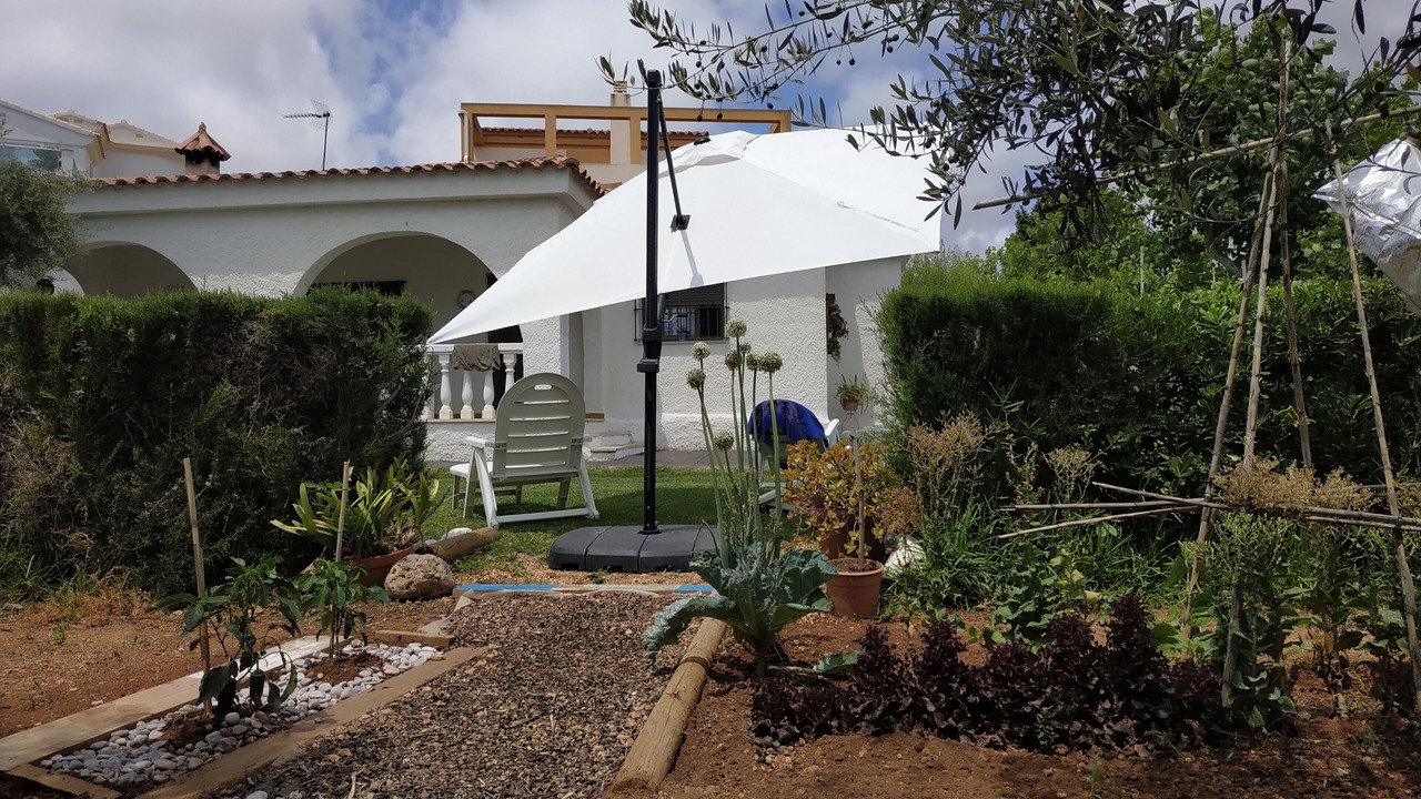 Photo of Outdoor in Alcossebre