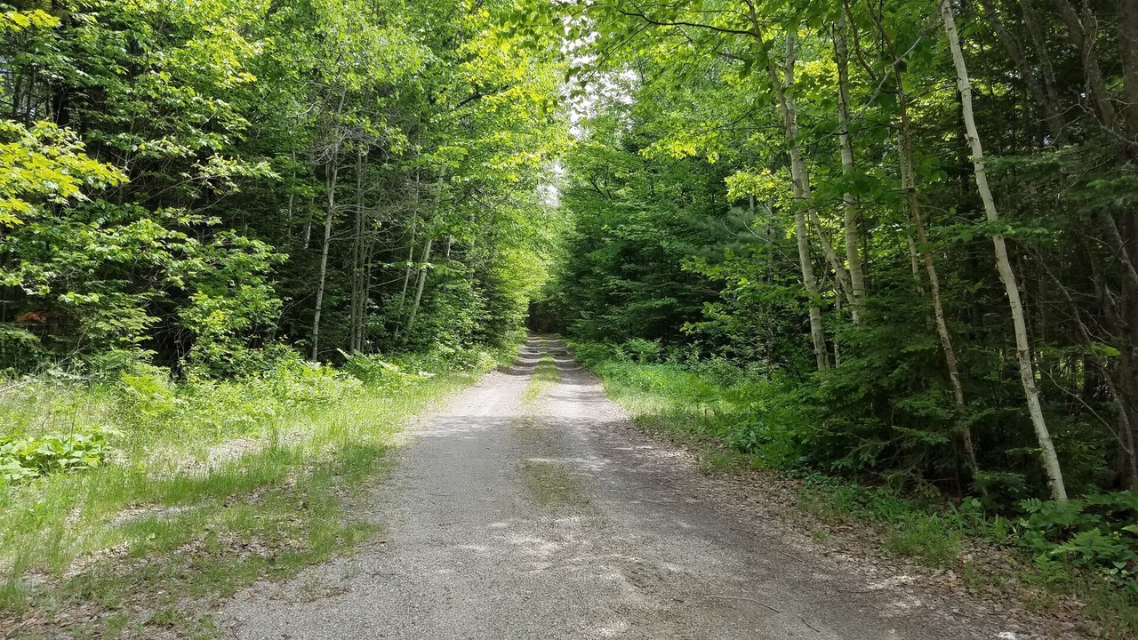 Photo of Others in Rangeley