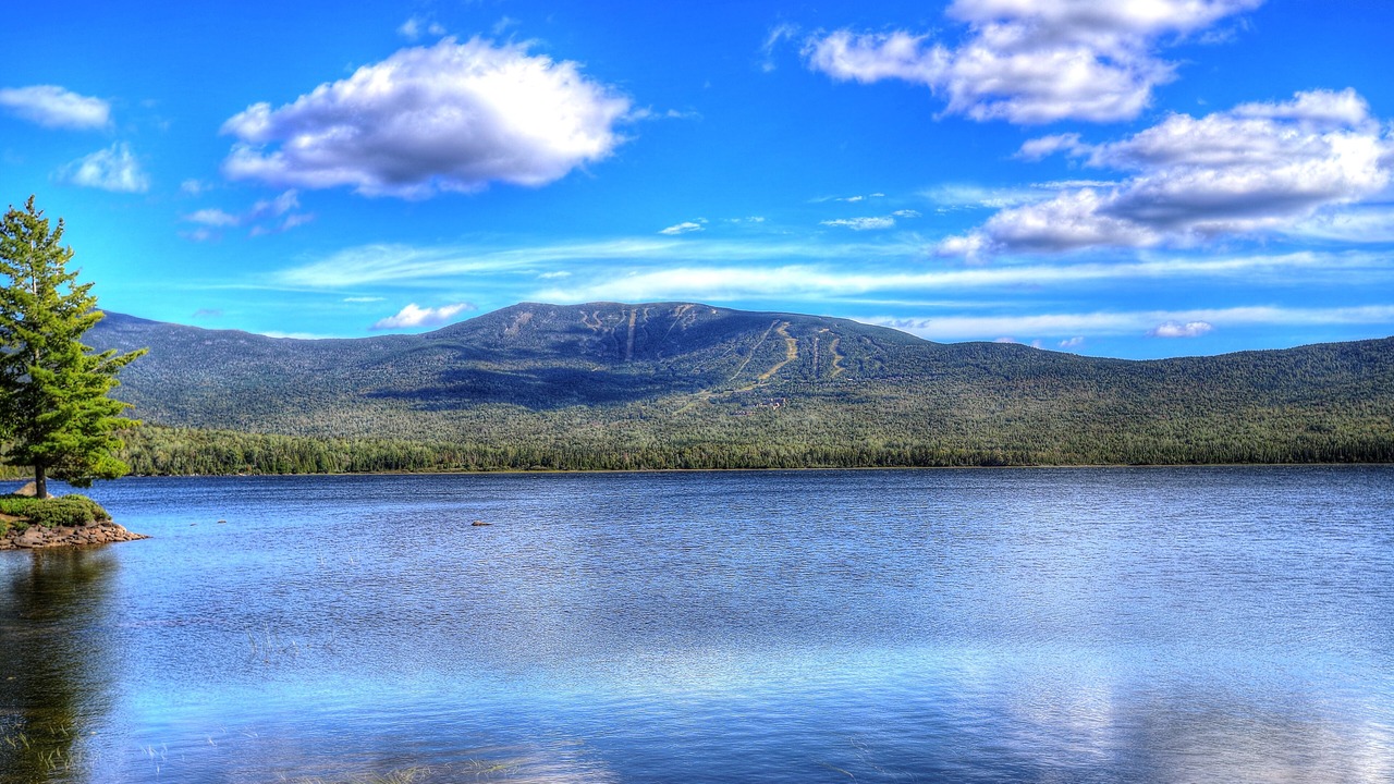 Photo of Others in Rangeley