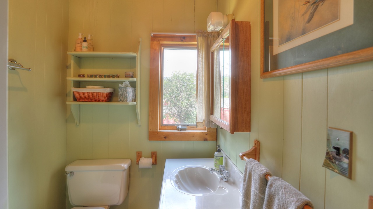 Photo of Bathroom in Rangeley Plantation