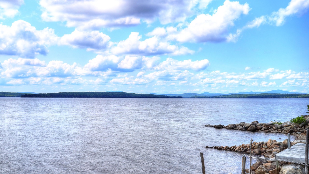 Photo of Others in Rangeley Plantation