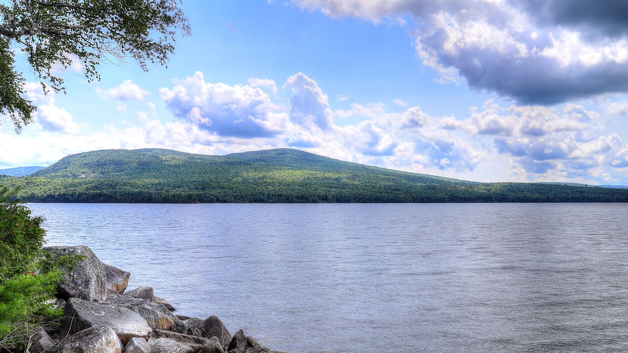 Photo of Others in Rangeley Plantation