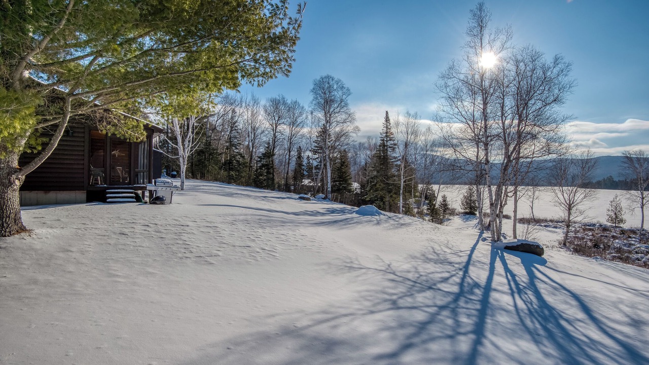 Photo of Others in Rangeley