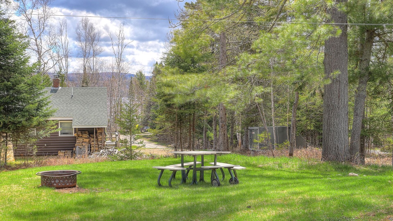 Photo of Others in Rangeley