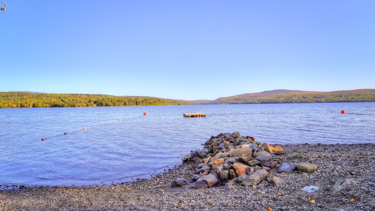 Photo of Others in Rangeley