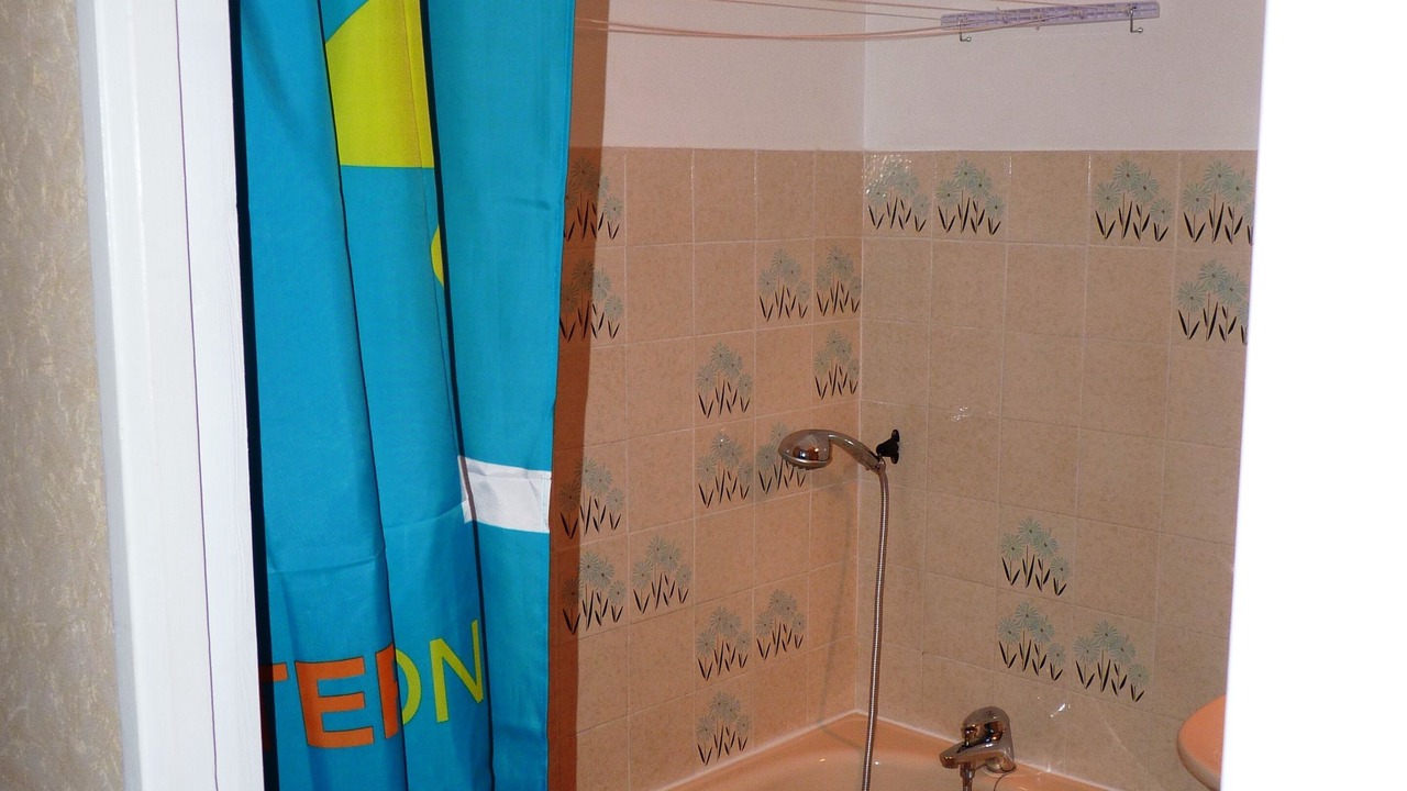 Photo of Bathroom in Pla d'Adet