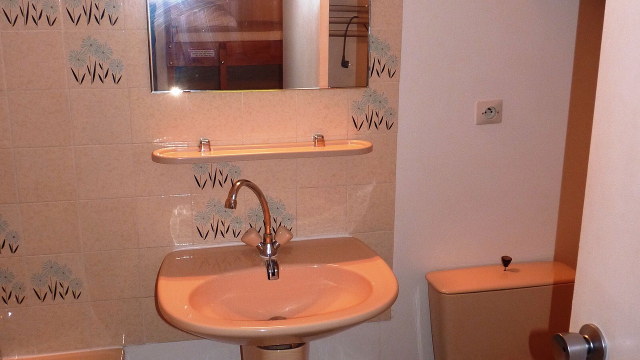 Photo of Bathroom in Pla d'Adet