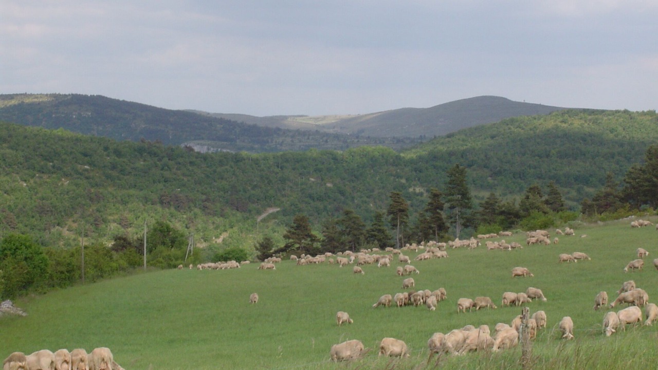 Photo of Others in La Malene