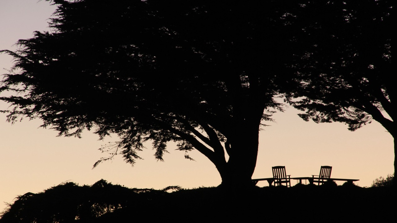 Photo of Others in Monterey