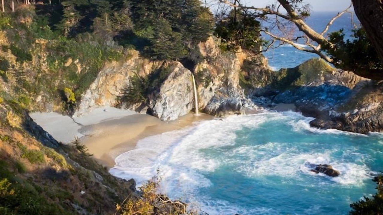 Photo of Others in Monterey