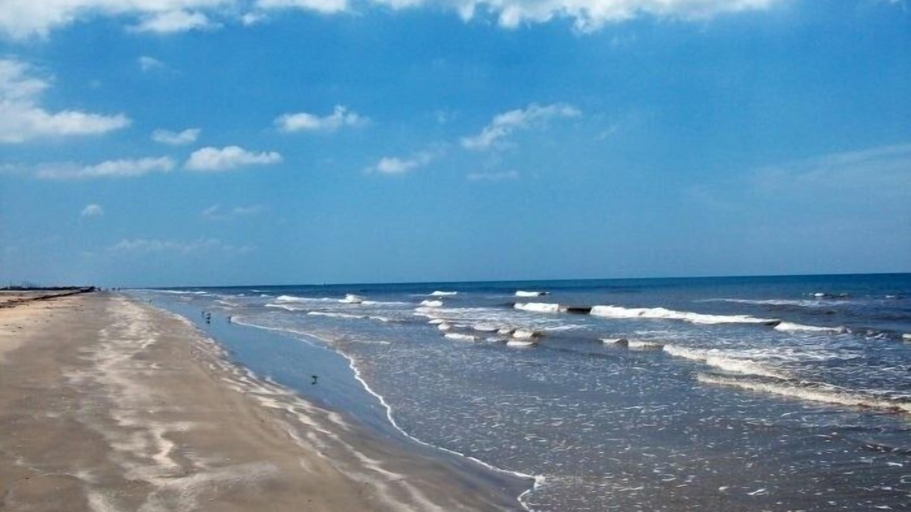 Photo of Others in Galveston