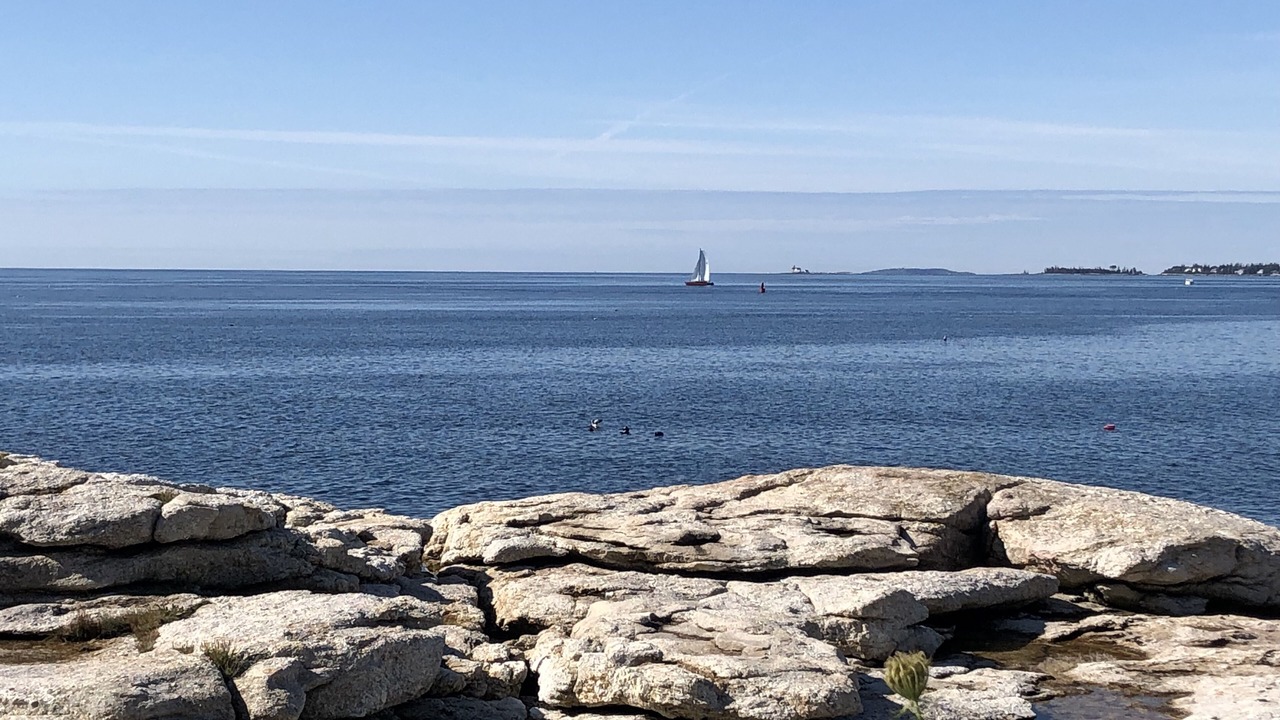 Photo of Others in Ocean Point