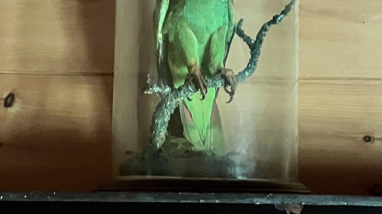 Photo of Bedroom in Ocean Point