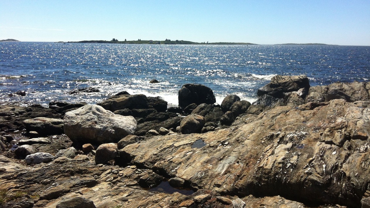 Photo of Others in Ocean Point