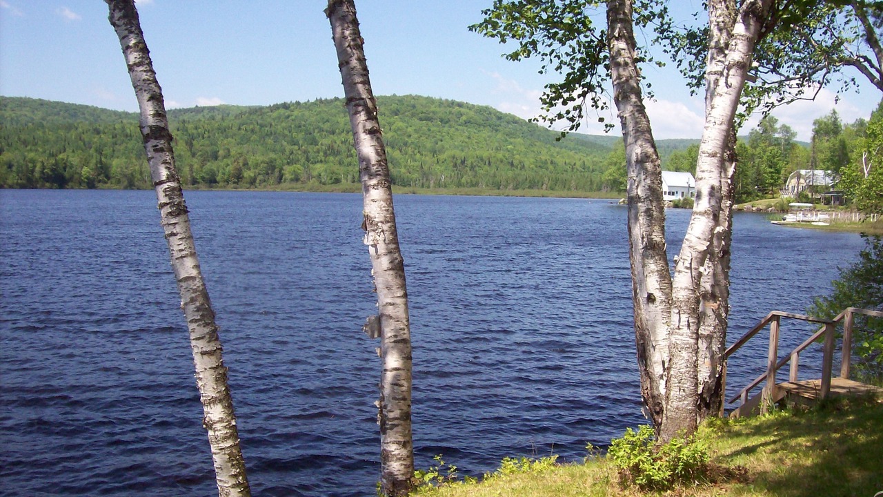 Photo of Others in Lunenburg