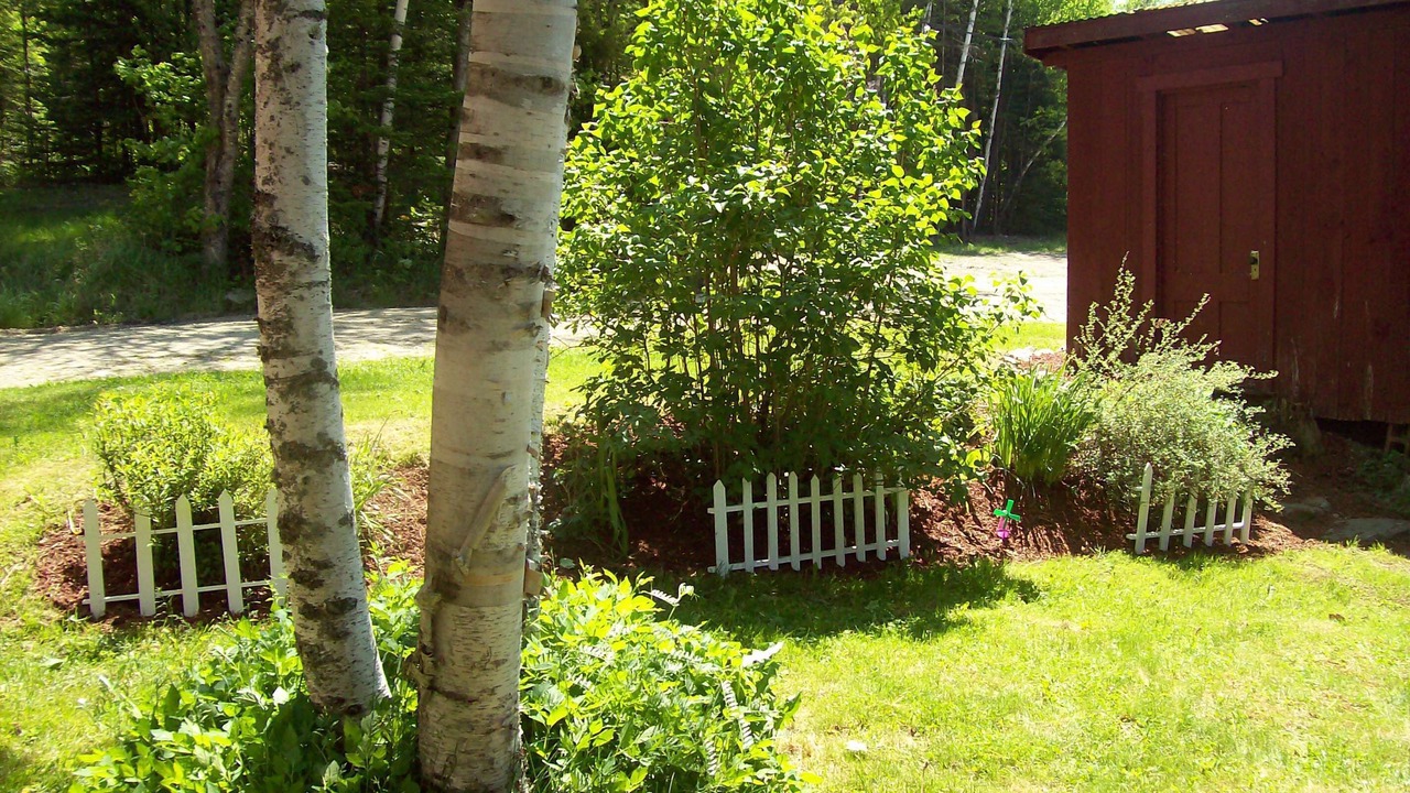 Photo of Outdoor in Lunenburg