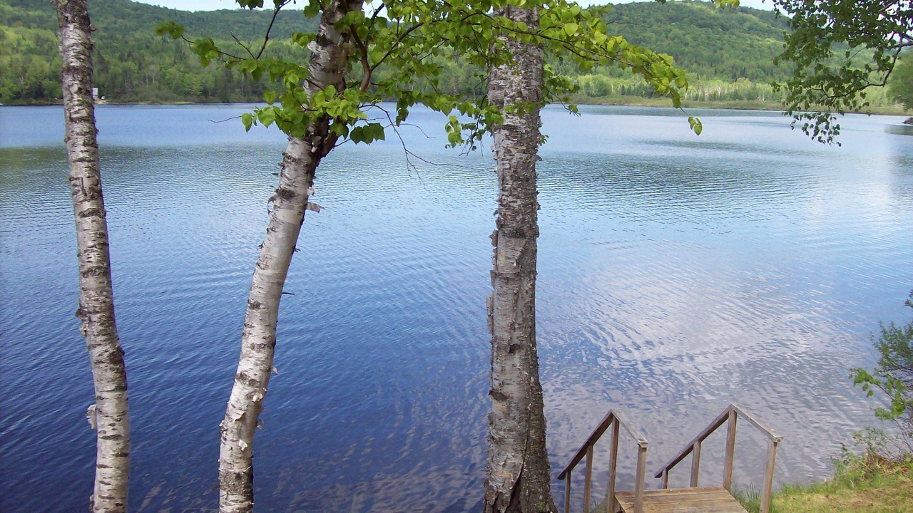 Photo of Outdoor in Lunenburg