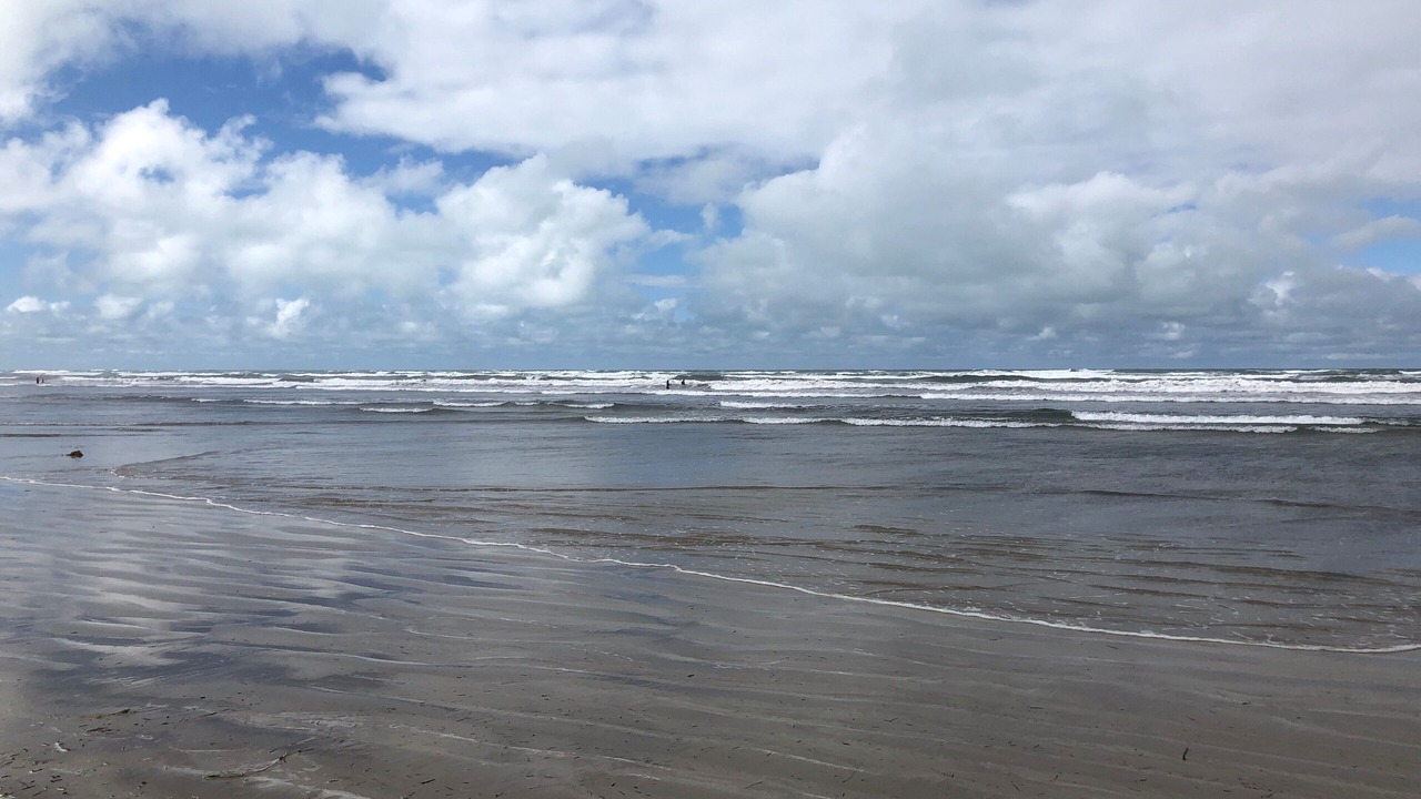 Photo of Others in Middleton